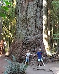 IMG_20180810_112254_264