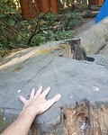 IMG_20180810_112254_267