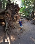 IMG_20180810_112254_265