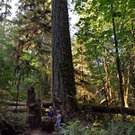 IMG_20180810_110644_358