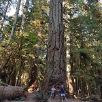 IMG_20180810_110644_352