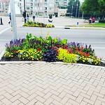 IMG_20180812_122043_717