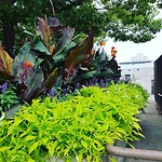 IMG_20180812_122043_731