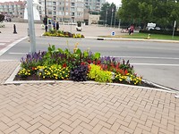 20180812_111233