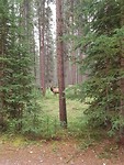 20180814_195033