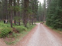 20180814_194538