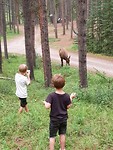 20180814_194142