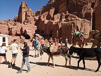 IMG_20211026_110216
