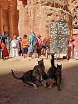 IMG_20211026_104824