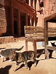 IMG_20211026_103128