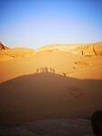 IMG_20211027_172526