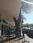 IMG_20220427_100902