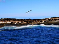 IMG_20220426_094542