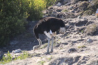 20220426142117_IMG_1568