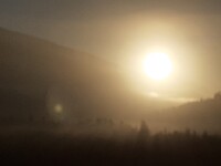 20220428_074350