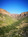 IMG_20220428_114852