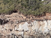 20220430_094025