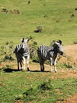 IMG_20220502_113837
