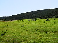 IMG_20220502_110144
