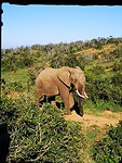 IMG_20220502_100107
