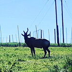 IMG_20220502_164529_645
