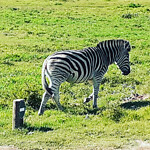 IMG_20220502_164529_565