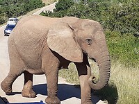 20220502_102408