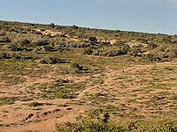 20220502_074957