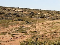 20220502_074953