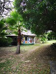 IMG_20220504_080510