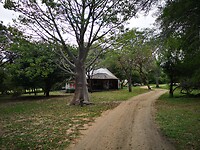 IMG_20220504_080402