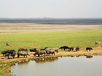 IMG_20220503_130719