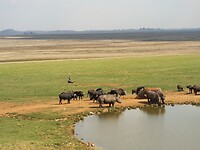 IMG_20220503_130705