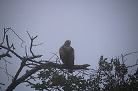 20220505071338_IMG_2253