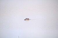 20220505085813_IMG_2323