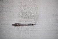 20220505090312_IMG_2333