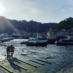 IMG_20220825_140733_496