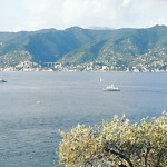 IMG_20220825_140733_224