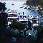 IMG_20220825_140732_593