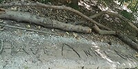 IMG_20230722_135224