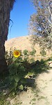 IMG_20230724_082211