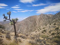 IMG_20230724_130322