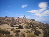 IMG_20230724_130249