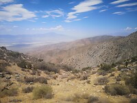 IMG_20230724_130238