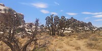 IMG_20230724_124003