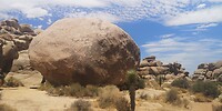 IMG_20230724_123533