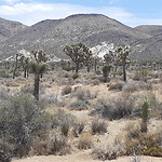 IMG_20230724_202555_324