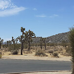 IMG_20230724_202555_476