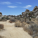 IMG_20230724_202555_510