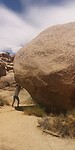 IMG_20230724_123457